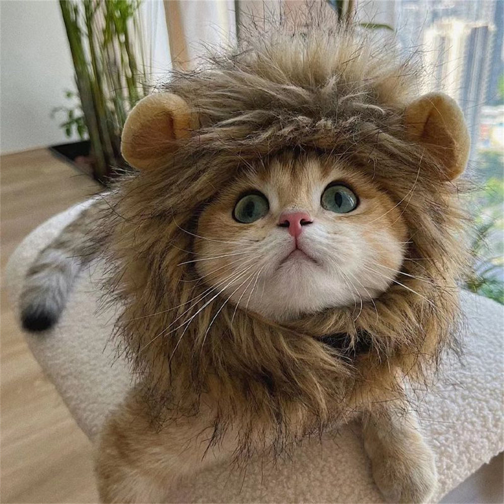 Aiitle Funny Cat Cosplay Lion Mane Wig