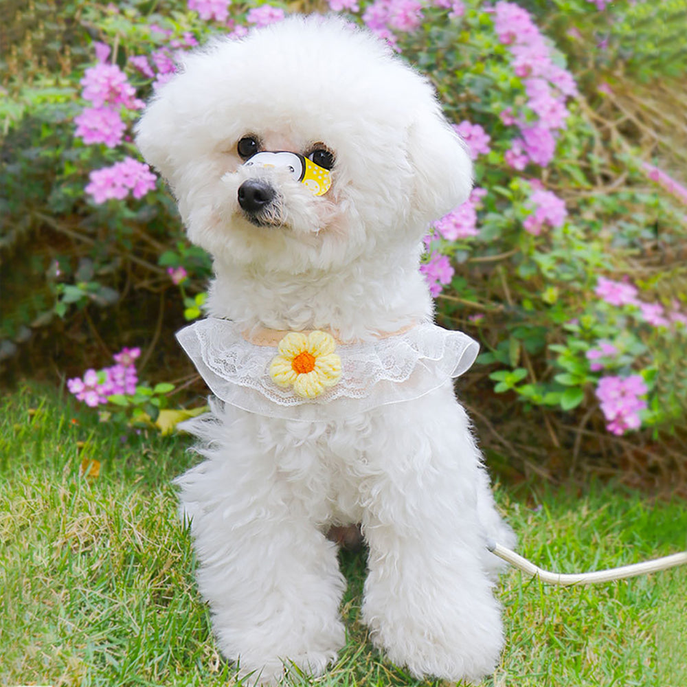 Aiitle Floral Lace Princess Dog Harness Leash Set