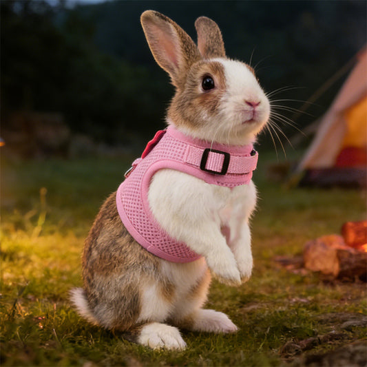 Aiitle Soft Mesh Rabbit Harness and Leash Set with Cute Bow