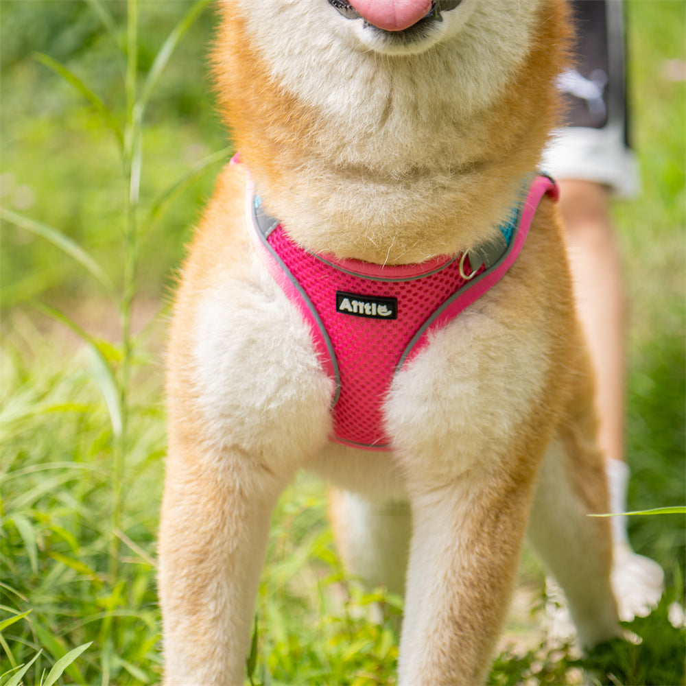 Aiitle Soft Adjustable Mesh Dog Harness Leash Set Hot Pink