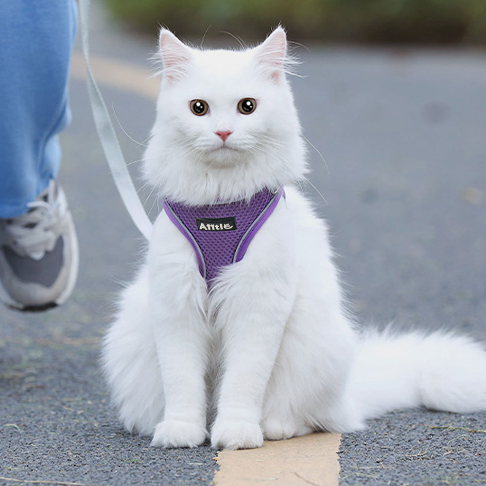 Aiitle Soft Adjustable Mesh Dog Harness Leash Set Pink