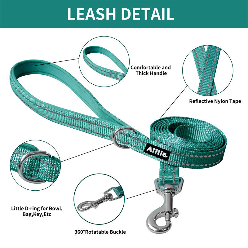 Aiitle Soft Adjustable Mesh Dog Harness Leash Set Turquoise