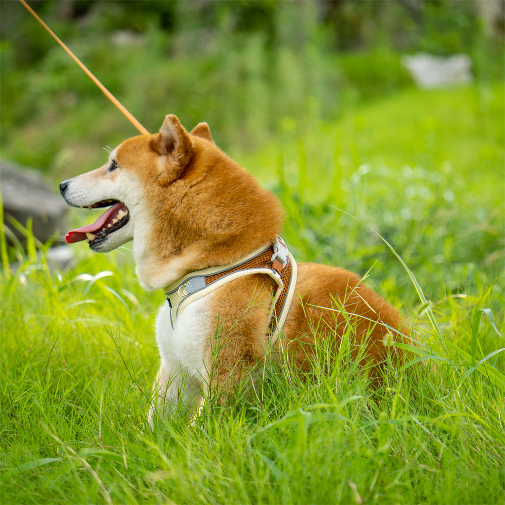 Aiitle Soft Adjustable Mesh Dog Harness Leash Set Beige