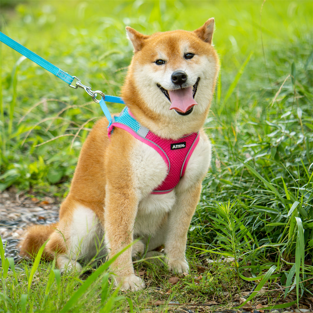 Aiitle Soft Adjustable Mesh Dog Harness Leash Set Hot Pink