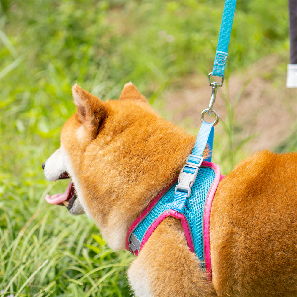 Aiitle Soft Adjustable Mesh Dog Harness Leash Set Hot Pink
