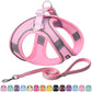Aiitle Soft Adjustable Mesh Dog Harness Leash Set Hot Pink