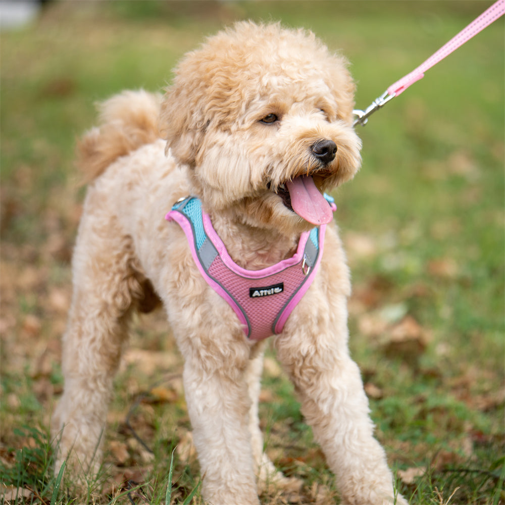 Aiitle Soft Adjustable Mesh Dog Harness Leash Set Pink