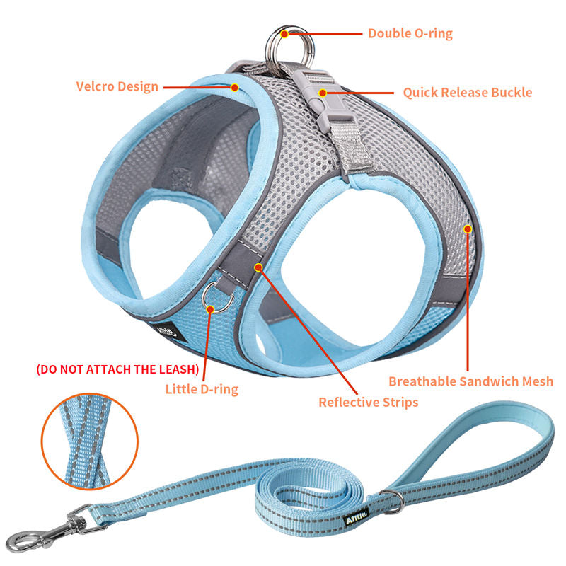 Aiitle Soft Adjustable Mesh Dog Harness Leash Set Blue