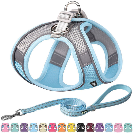 Aiitle Soft Adjustable Mesh Dog Harness Leash Set Blue