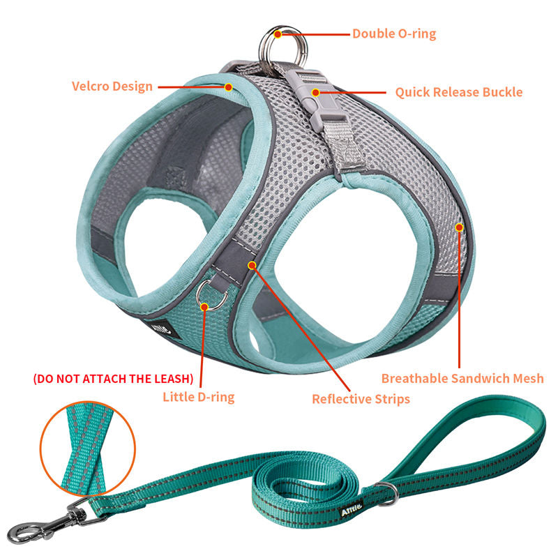 Aiitle Soft Adjustable Mesh Dog Harness Leash Set Turquoise