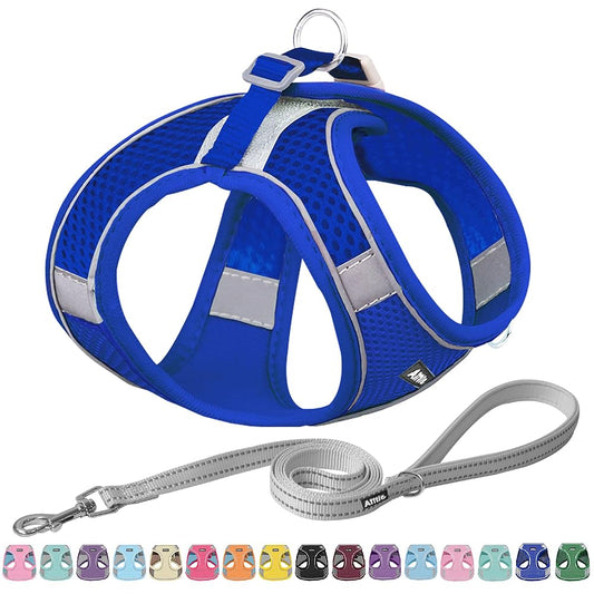 Aiitle Soft Adjustable Mesh Dog Harness Leash Set Royal Blue