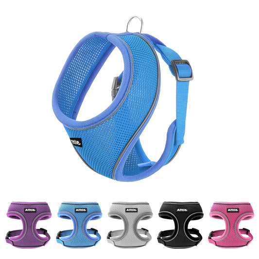 Aiitle Adjustable Mesh Small Dog Harness Blue