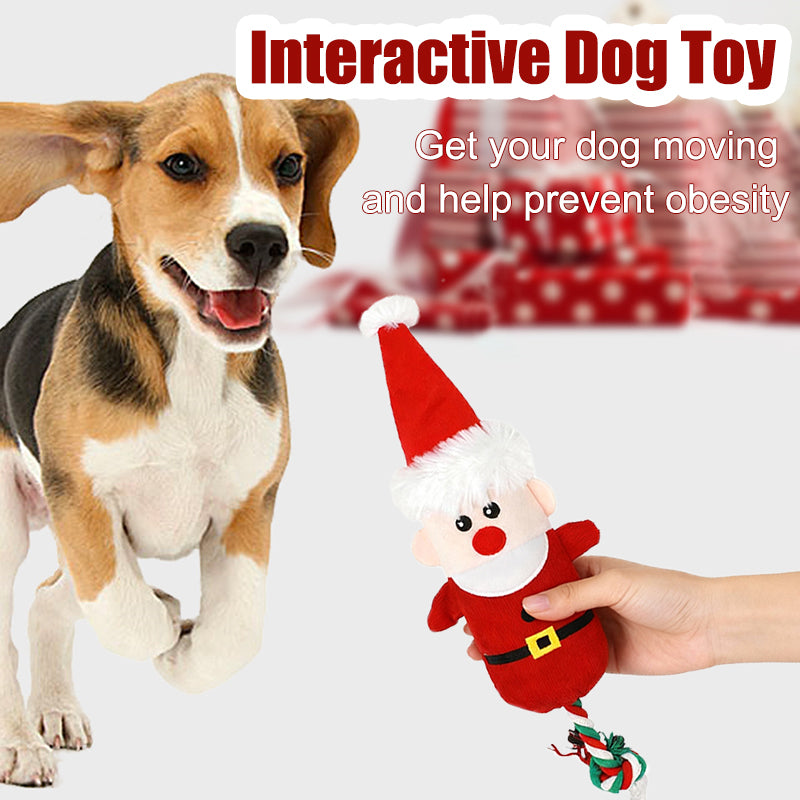 Aiitle Dog Christmas Squeak Toys