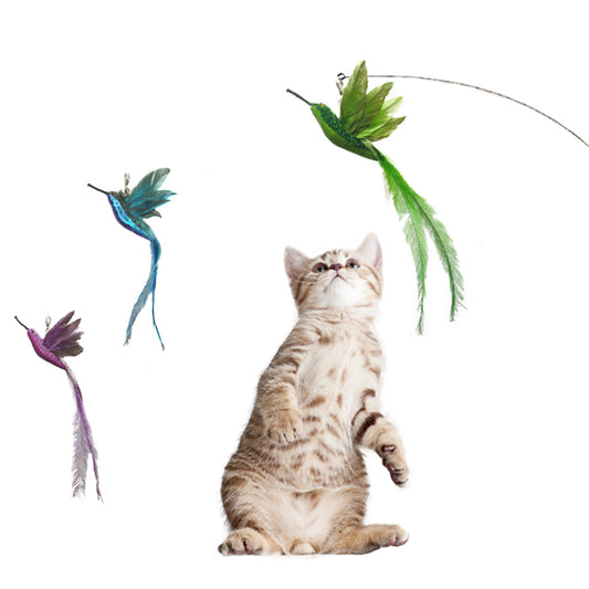 Aiitle Hummingbird Cat Toy Teaser Set for Indoor Cats