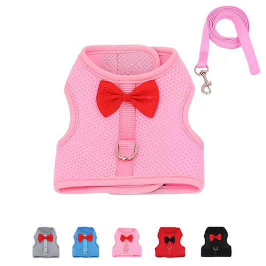 Aiitle Soft Mesh Rabbit Harness and Leash Set with Cute Bow
