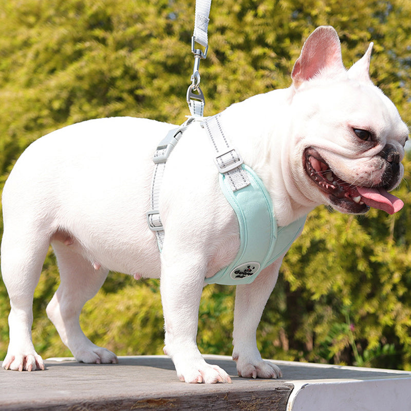 Aiitle X Shaped Adjustable Dog Harness Soft Padded