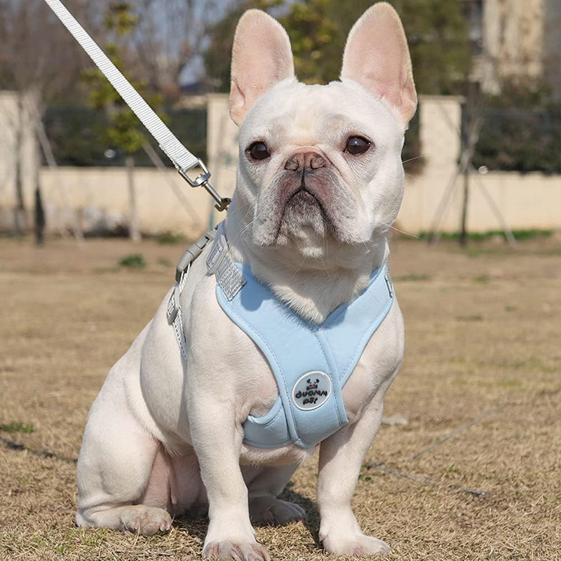 Aiitle X Shaped Adjustable Dog Harness Soft Padded