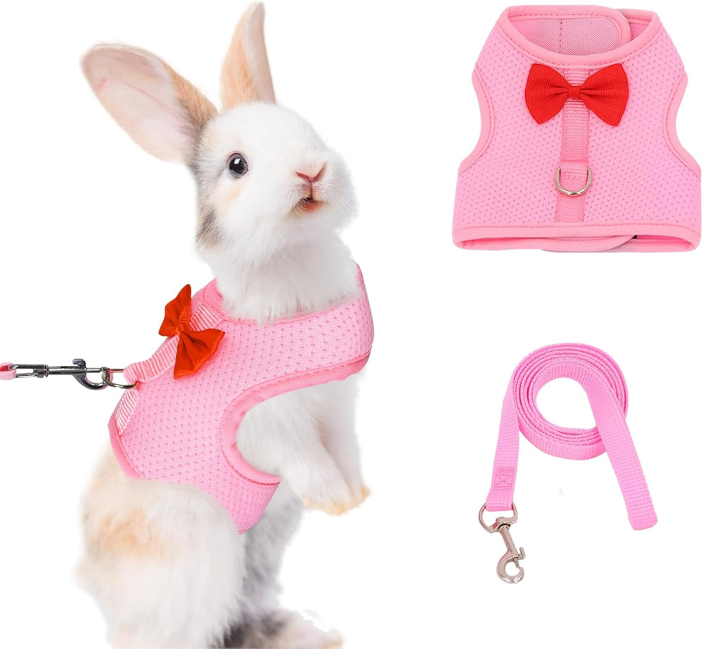 Aiitle Soft Mesh Rabbit Harness and Leash Set with Cute Bow