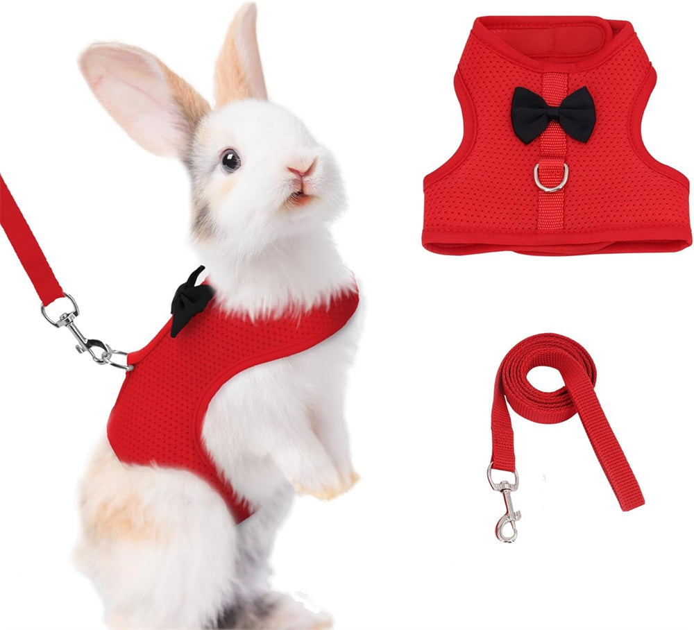 Aiitle Soft Mesh Rabbit Harness and Leash Set with Cute Bow