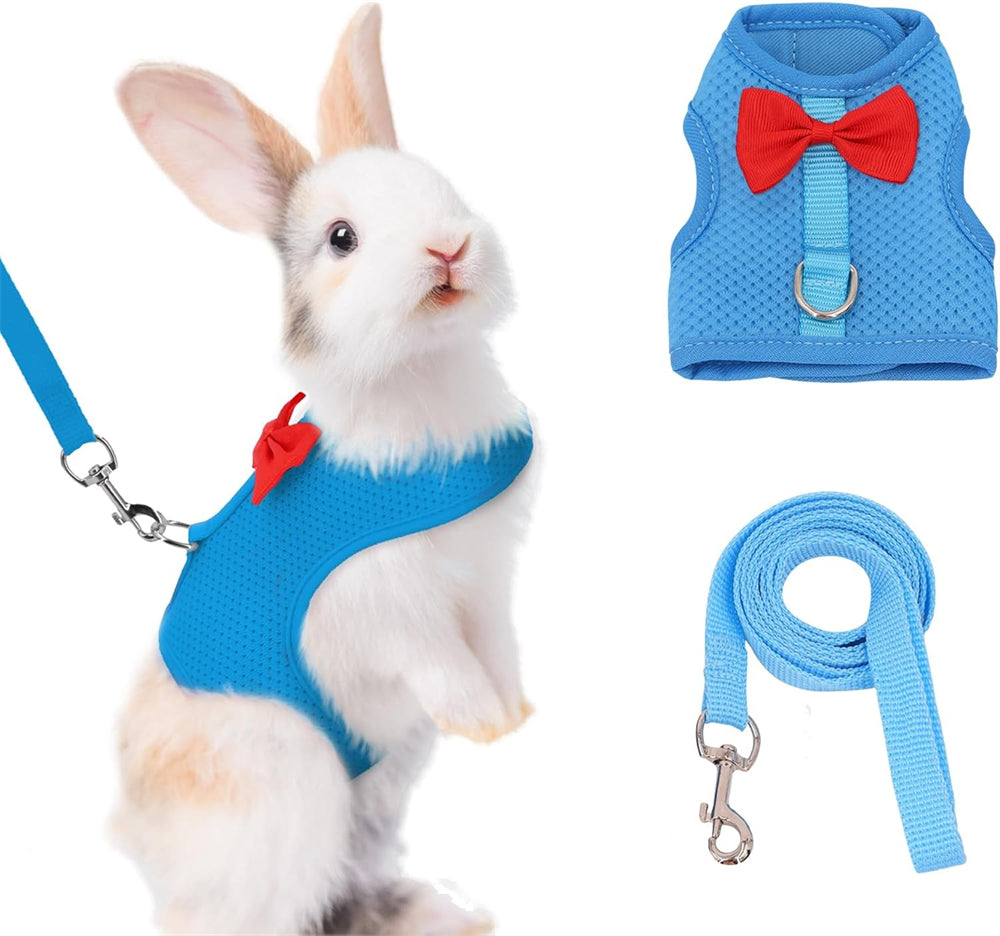 Aiitle Soft Mesh Rabbit Harness and Leash Set with Cute Bow