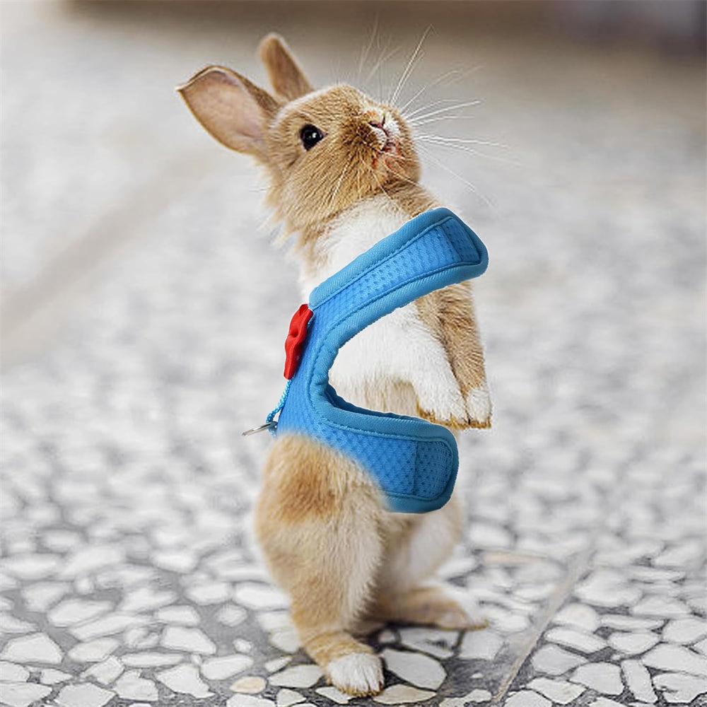 Aiitle Soft Mesh Rabbit Harness and Leash Set with Cute Bow