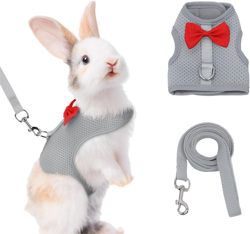 Aiitle Soft Mesh Rabbit Harness and Leash Set with Cute Bow