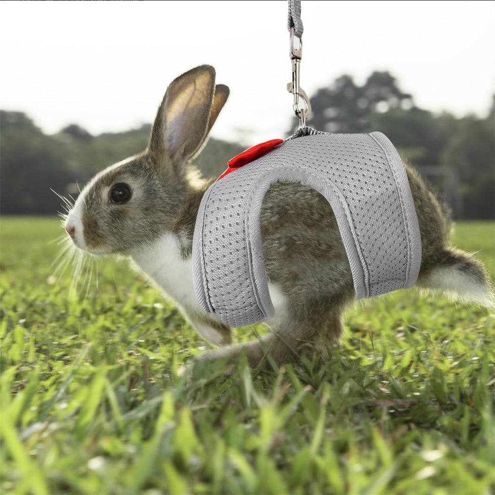 Aiitle Soft Mesh Rabbit Harness and Leash Set with Cute Bow