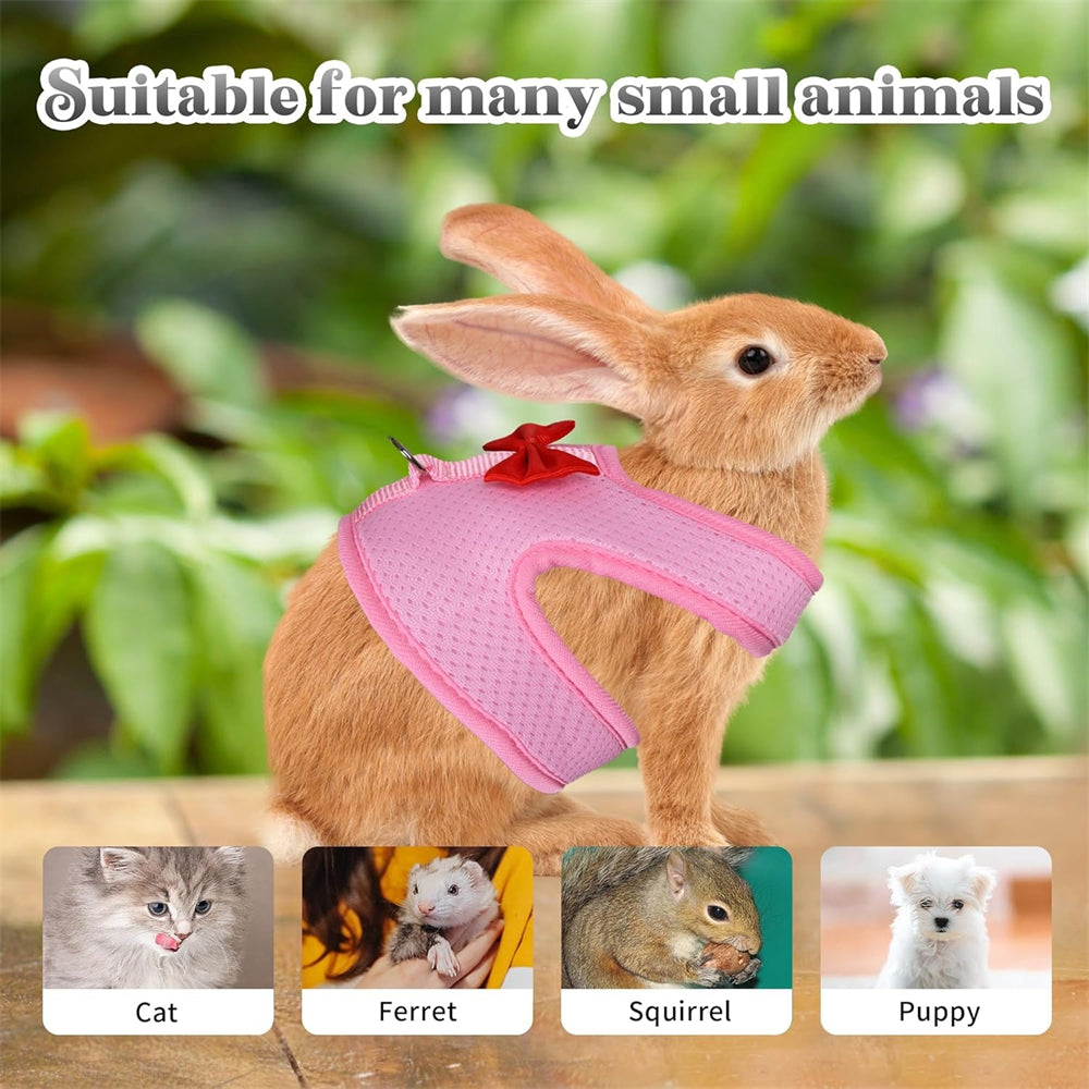 Aiitle Soft Mesh Rabbit Harness and Leash Set with Cute Bow
