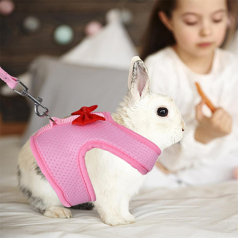 Aiitle Soft Mesh Rabbit Harness and Leash Set with Cute Bow
