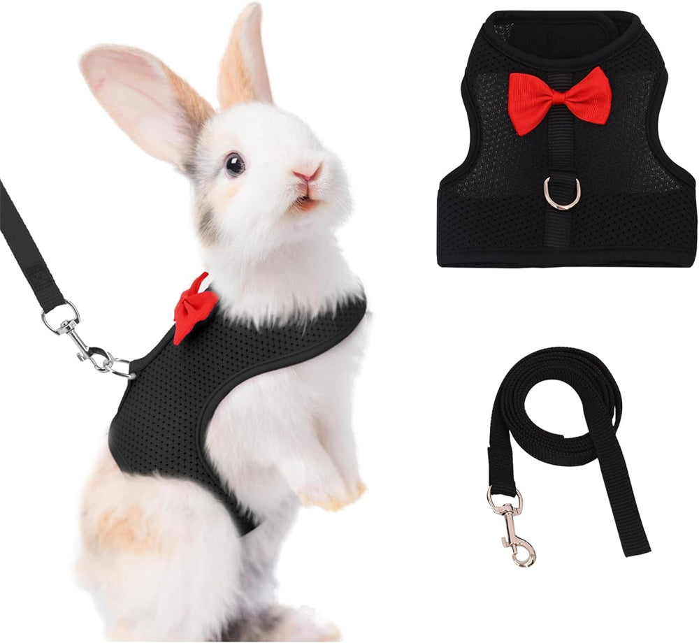 Aiitle Soft Mesh Rabbit Harness and Leash Set with Cute Bow