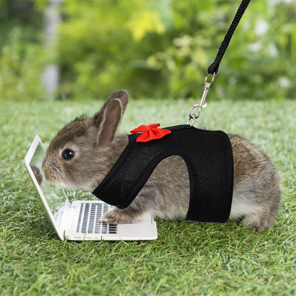 Aiitle Soft Mesh Rabbit Harness and Leash Set with Cute Bow
