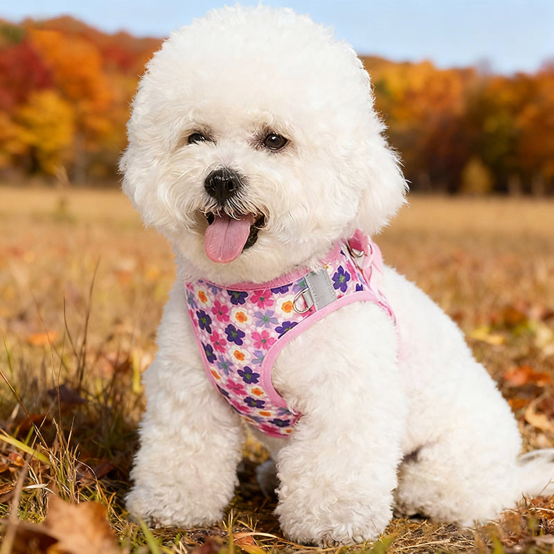 Aiitle Step in Print Floral Dog Vest Harness