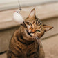 Aiitle Interactive Bird Toy Set for Indoor Cats