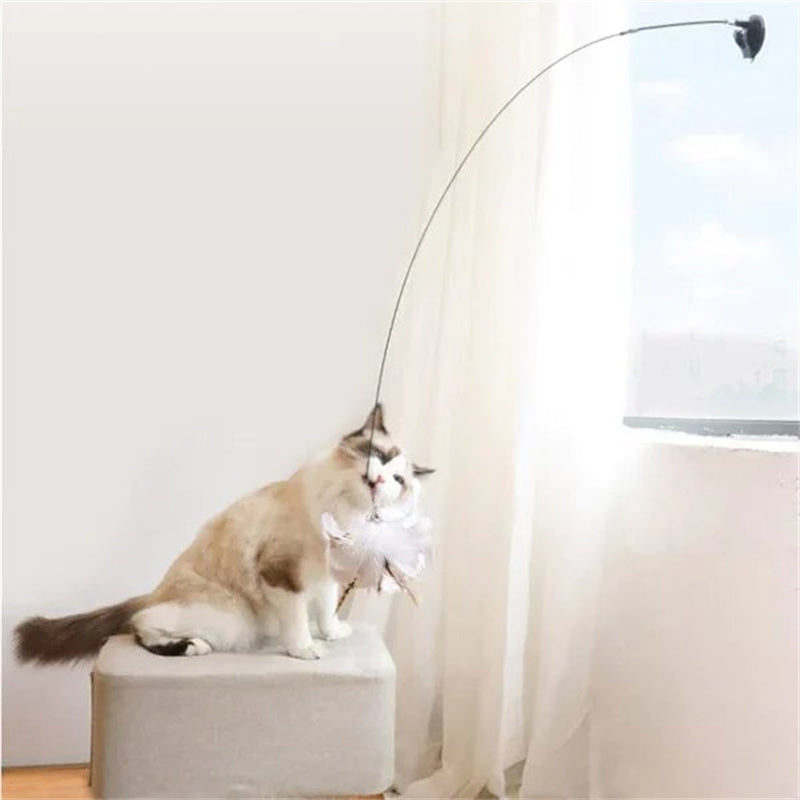 Aiitle Interactive Bird Toy Set for Indoor Cats