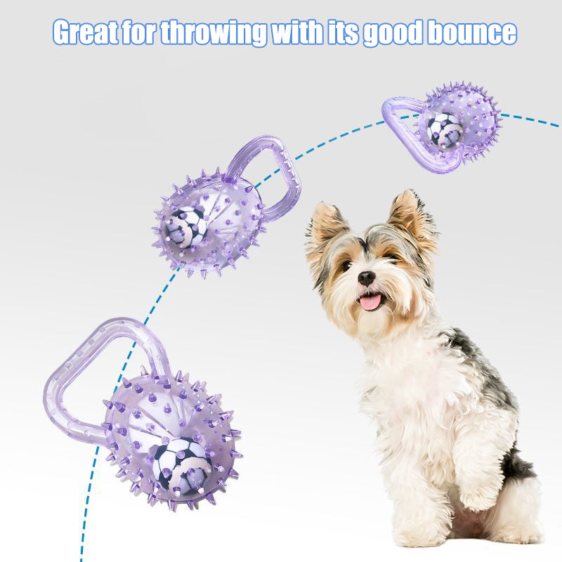 Interactive Squeaky Ball Dog Toy with Handle