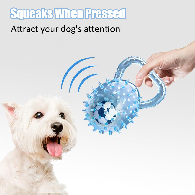 Interactive Squeaky Ball Dog Toy with Handle