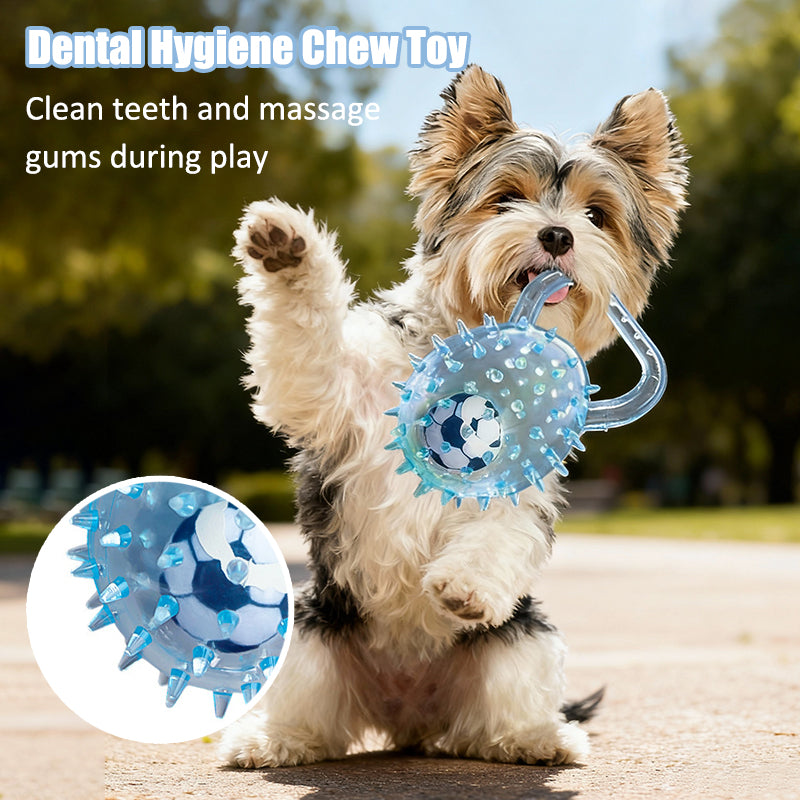 Interactive Squeaky Ball Dog Toy with Handle