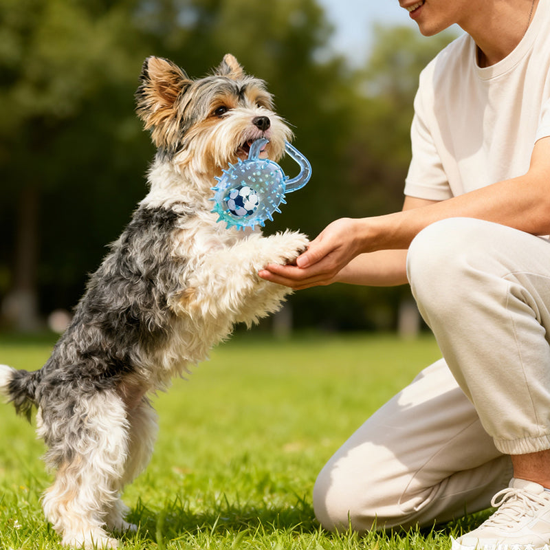 Interactive Squeaky Ball Dog Toy with Handle
