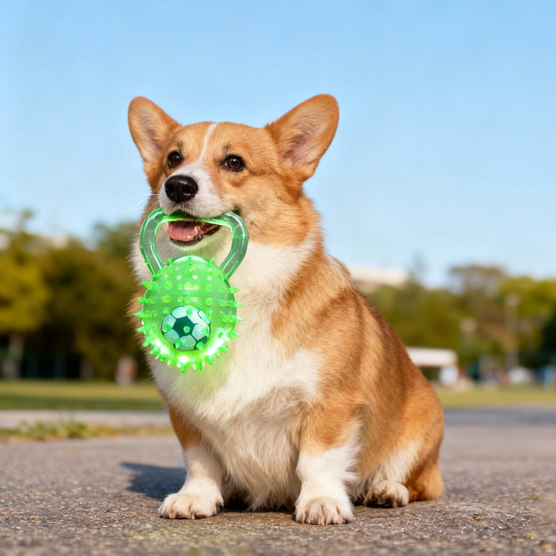 Interactive Squeaky Ball Dog Toy with Handle