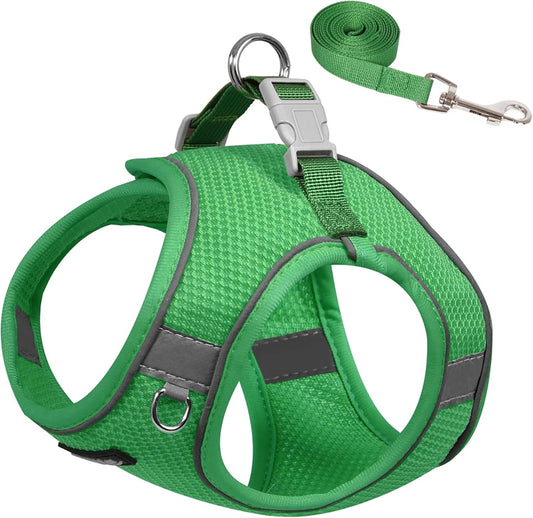 Aiitle Step in Mesh Small Dog Harness with Leash Set Green