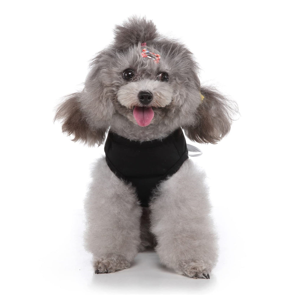 Aiitle Dog Halloween Black Ghost Costume