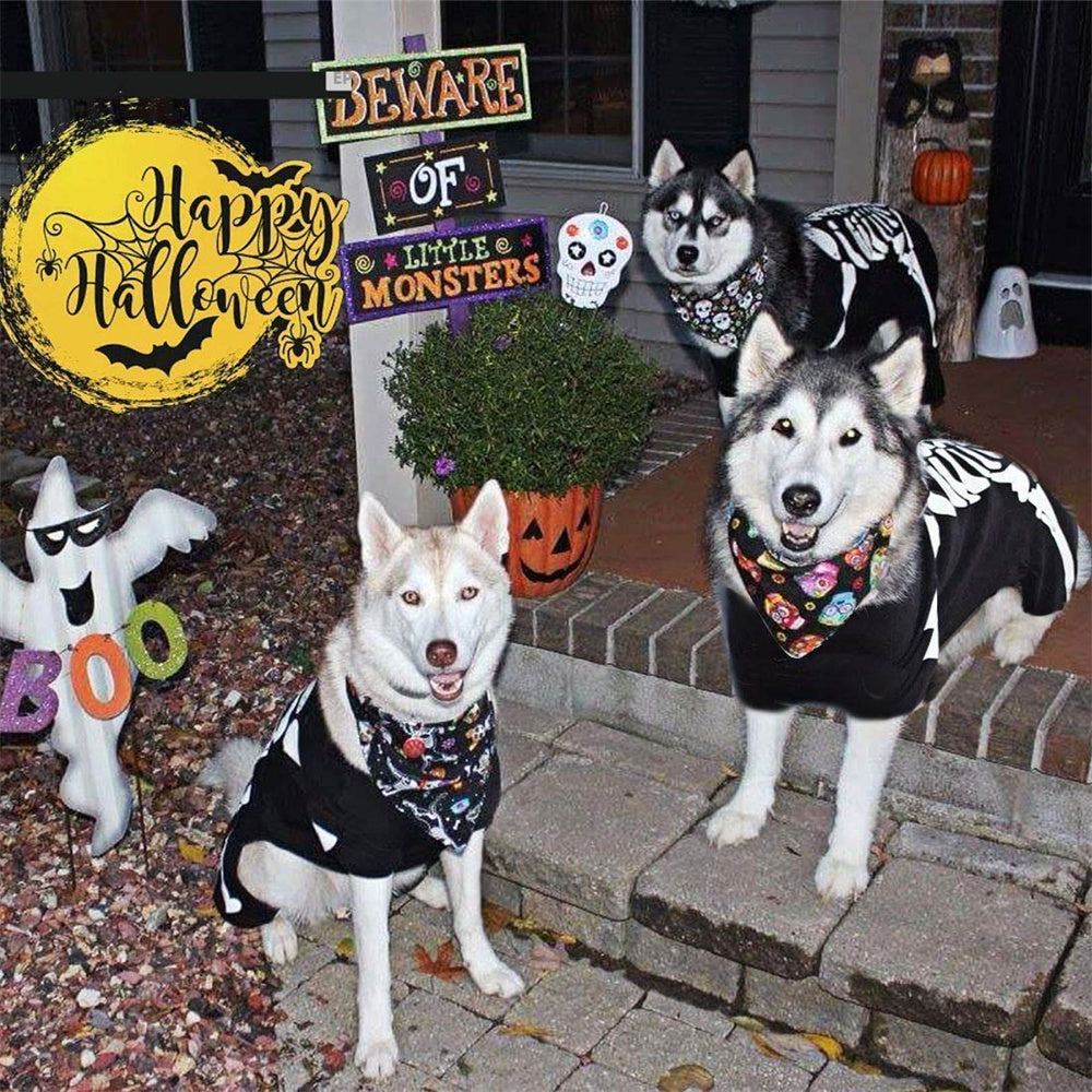 Aiitle Pet Halloween Black and White Skeleton Costume