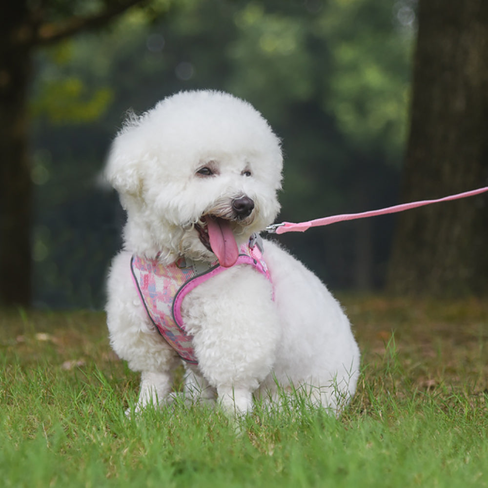 Aiitle Colorful Printed Mesh Dog Harness