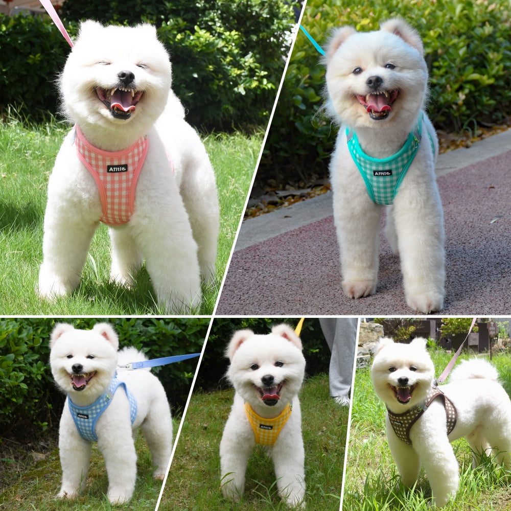 Aiitle Soft Adjustable Plaid Mesh Dog Vest Harness with Leash Set