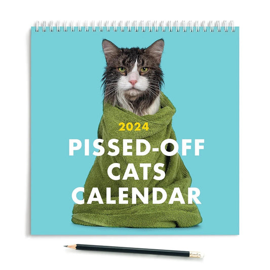 Aiitle Funny 2024 Cats Calendar