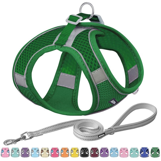 Aiitle Soft Adjustable Mesh Dog Harness Leash Set Green