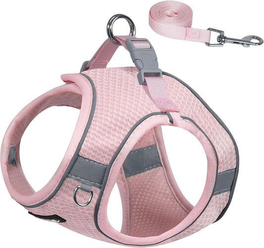 Aiitle Step in Mesh Small Dog Harness with Leash Set Pink