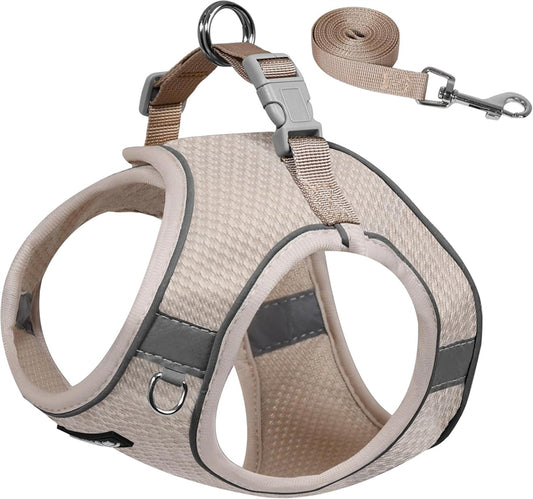 Aiitle Step in Mesh Small Dog Harness with Leash Set Beige