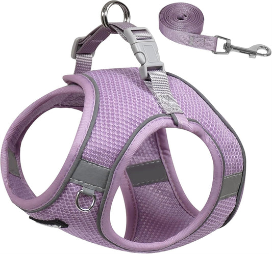 Aiitle Step in Mesh Small Dog Harness with Leash Set Purple