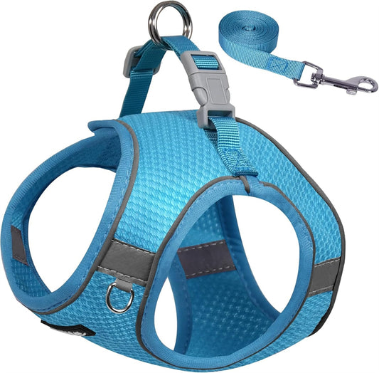 Aiitle Step in Mesh Small Dog Harness with Leash Set Blue